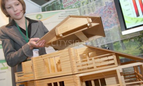 Правительство разрабатывает новые мероприятия по поддержке деревянного домостроения