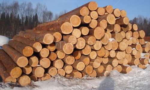 Пути развития деревянного домостроения в России