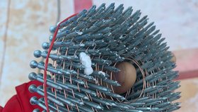 Видео о строительстве дома из СИП-панелей